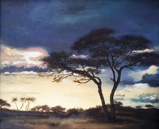 Safari